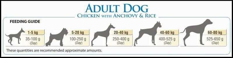 BonaCibo chien adulte -Poulet et anchois 